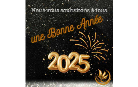 Bonne année 2025 ! 